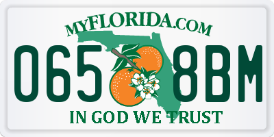 FL license plate 0658BM