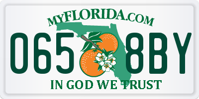 FL license plate 0658BY