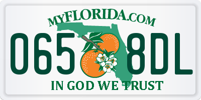 FL license plate 0658DL