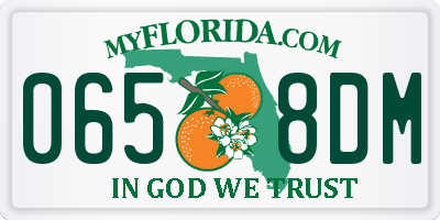 FL license plate 0658DM
