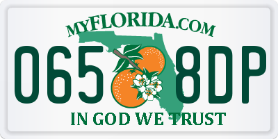 FL license plate 0658DP