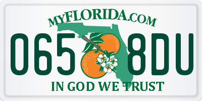 FL license plate 0658DU