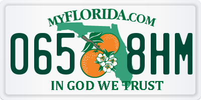 FL license plate 0658HM