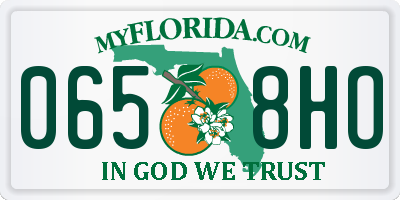 FL license plate 0658HO