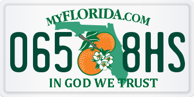 FL license plate 0658HS