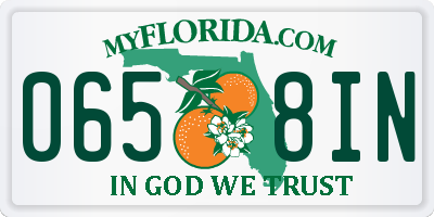 FL license plate 0658IN
