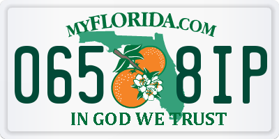 FL license plate 0658IP