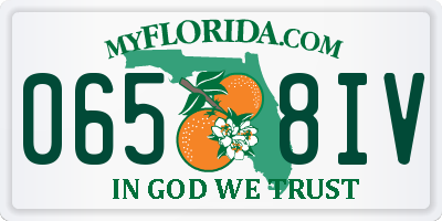 FL license plate 0658IV