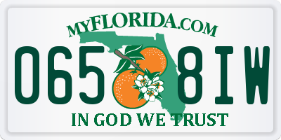 FL license plate 0658IW