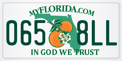 FL license plate 0658LL