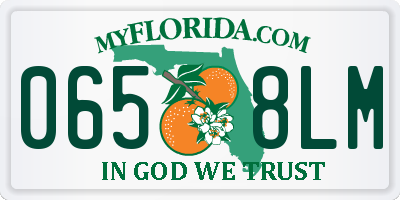 FL license plate 0658LM
