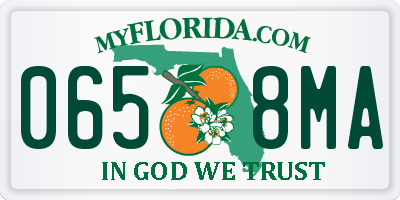 FL license plate 0658MA