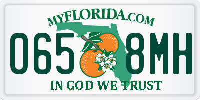 FL license plate 0658MH