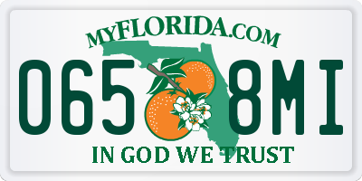 FL license plate 0658MI