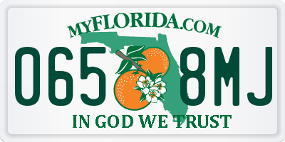 FL license plate 0658MJ