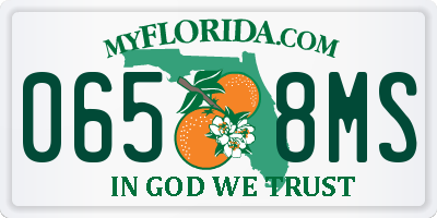FL license plate 0658MS