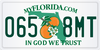 FL license plate 0658MT