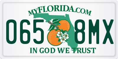 FL license plate 0658MX
