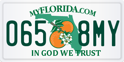 FL license plate 0658MY