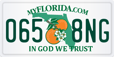FL license plate 0658NG