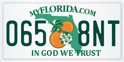 FL license plate 0658NT