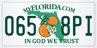 FL license plate 0658PI
