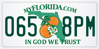 FL license plate 0658PM