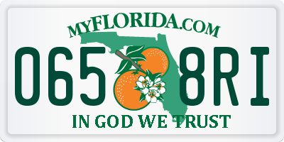 FL license plate 0658RI