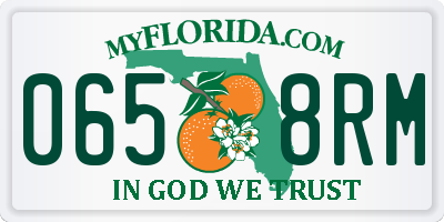 FL license plate 0658RM