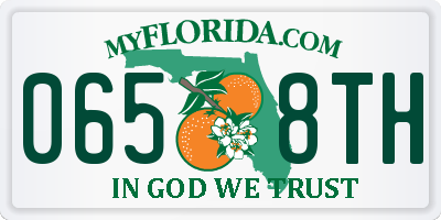 FL license plate 0658TH