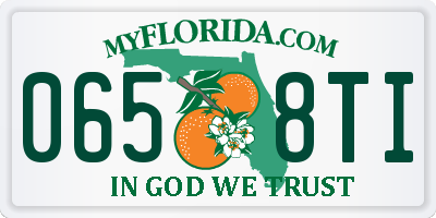 FL license plate 0658TI