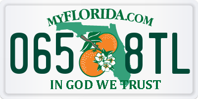 FL license plate 0658TL