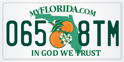 FL license plate 0658TM