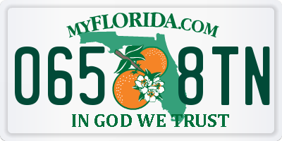 FL license plate 0658TN