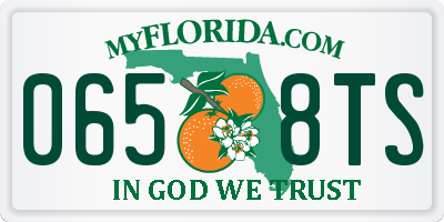 FL license plate 0658TS