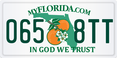 FL license plate 0658TT