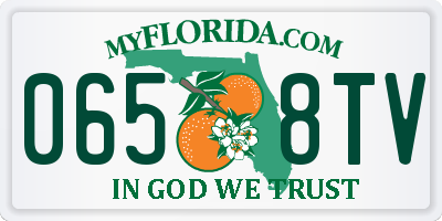 FL license plate 0658TV