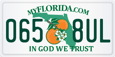 FL license plate 0658UL
