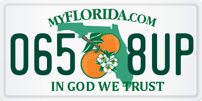FL license plate 0658UP
