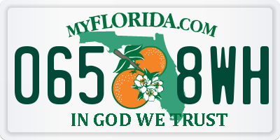 FL license plate 0658WH