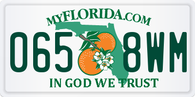 FL license plate 0658WM