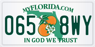 FL license plate 0658WY