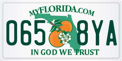 FL license plate 0658YA