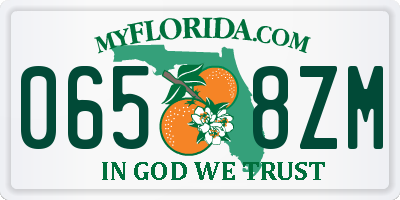 FL license plate 0658ZM