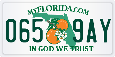FL license plate 0659AY