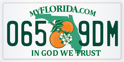FL license plate 0659DM