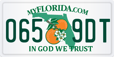 FL license plate 0659DT