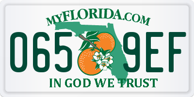 FL license plate 0659EF
