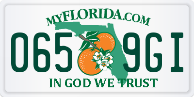 FL license plate 0659GI