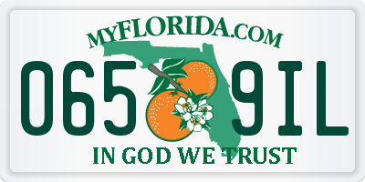FL license plate 0659IL